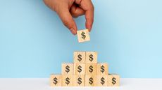 A stack of wooden blocks with dollar signs on them.